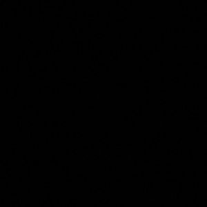 Meet your Posher, Daylen